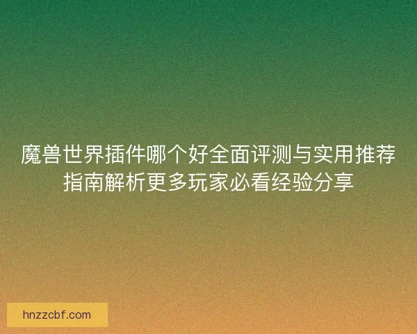魔兽世界插件哪个好全面评测与实用推荐指南解析更多玩家必看经验分享
